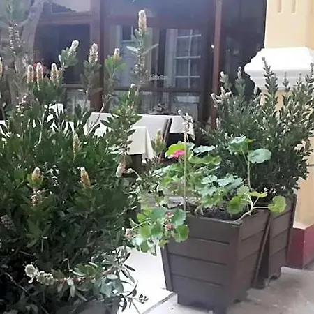 Hotel Antikhan 2*