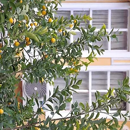 Hotel Antikhan Izmir