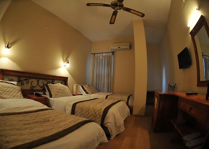 安蒂坎酒店 2* 伊兹密尔