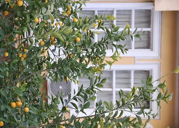 Antikhan Otel İzmir