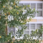 Antikhan Hotel Izmir