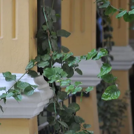 Hotel Antikhan